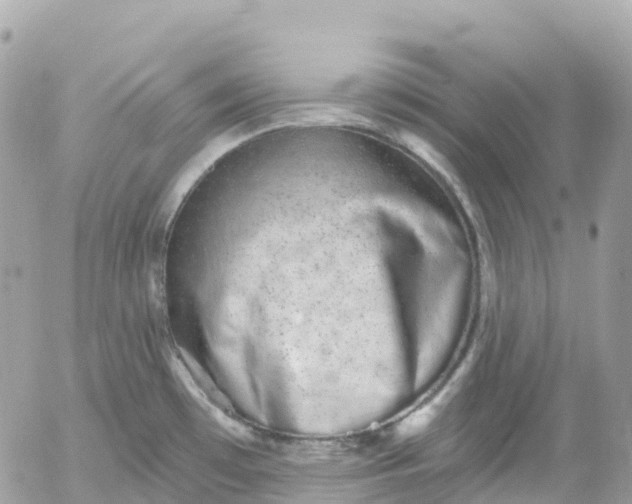 X0000052931481200507221109