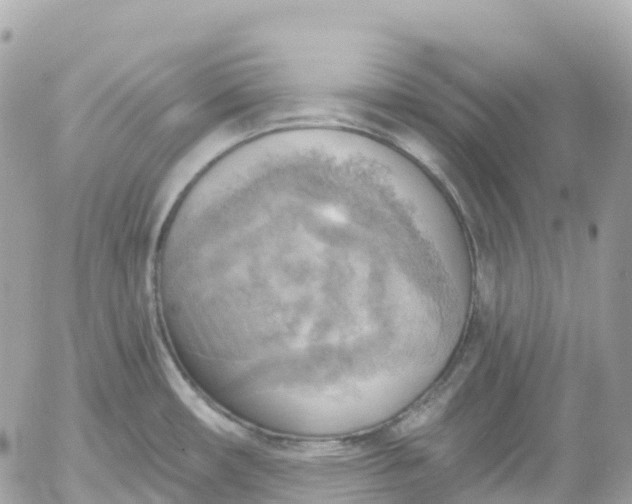 X0000052931482200507221109