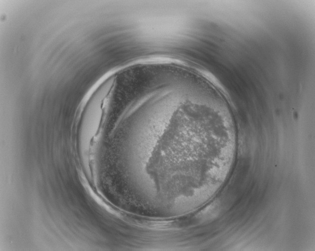 X0000052931484200507221109