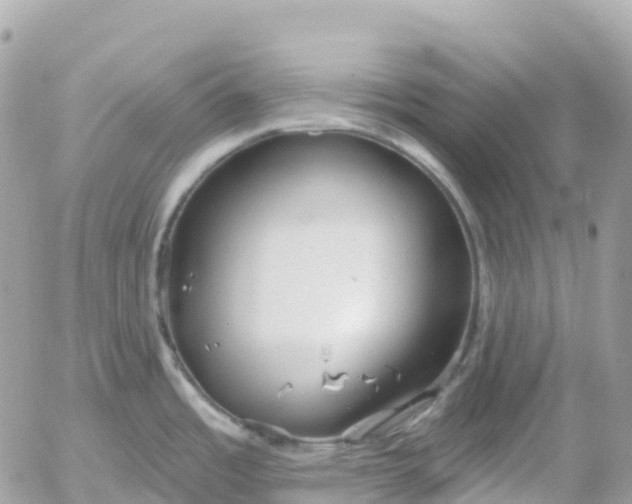 X0000052931485200507221109