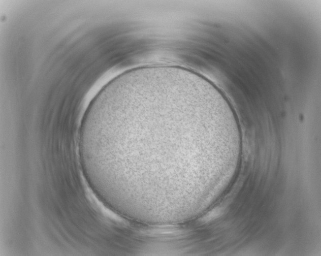 X0000052931486200507221109