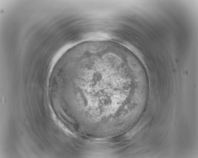 X0000052931488200507221109