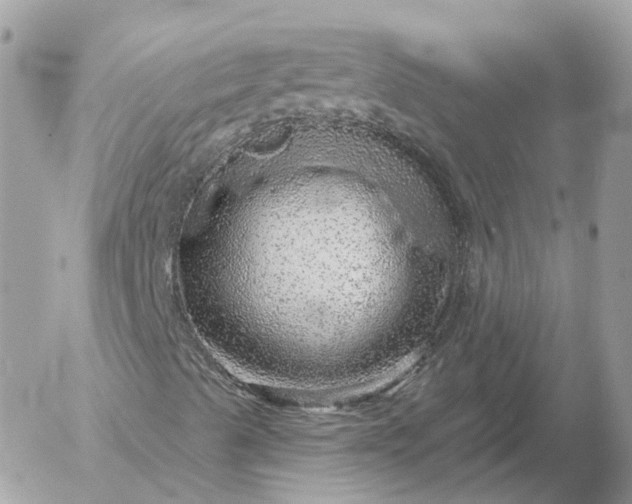 X0000052931489200507221108