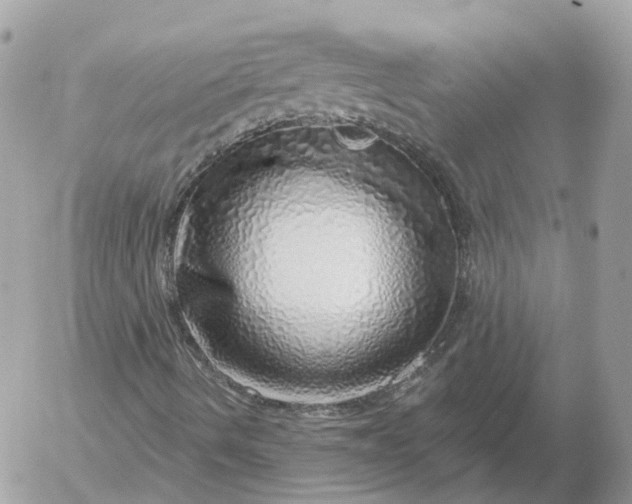 X0000052931490200507221108