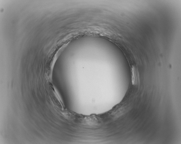 X0000052931491200507221108