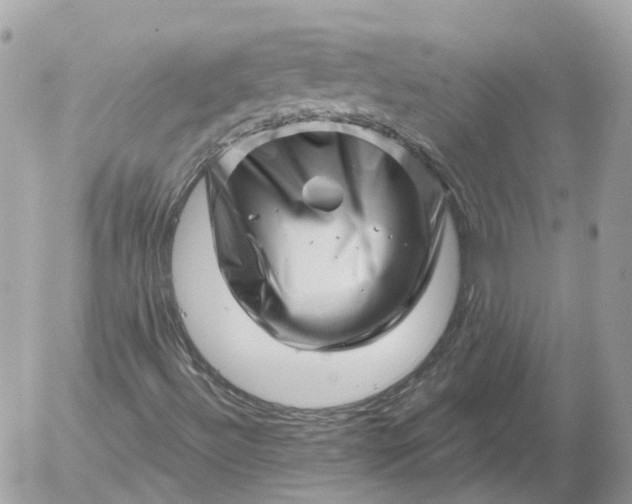 X0000052931492200507221108