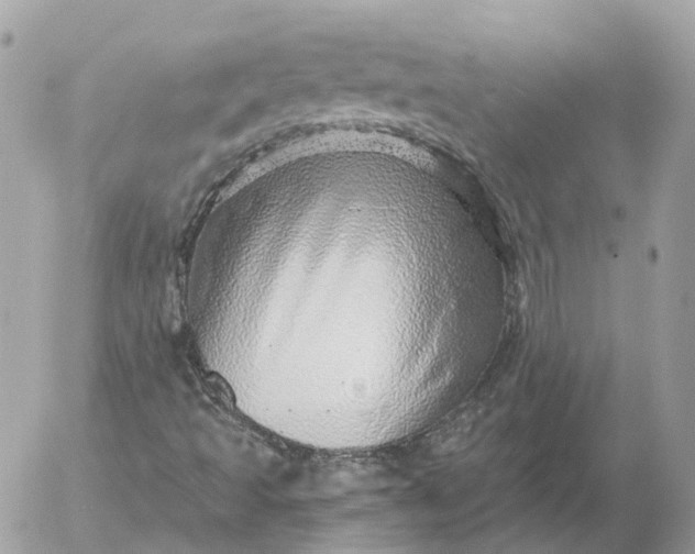 X0000052931493200507221108