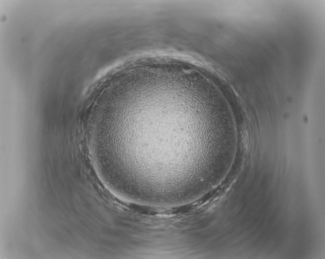 X0000052931494200507221108