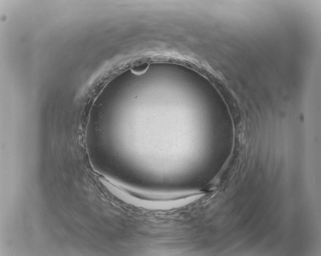 X0000052931495200507221108