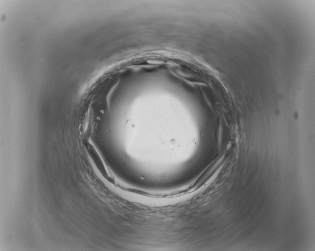 X0000052931496200507221108