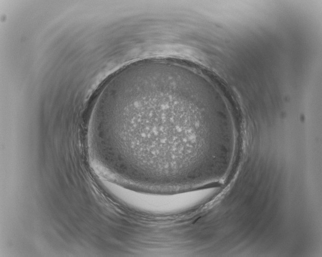 X0000052931497200507221108