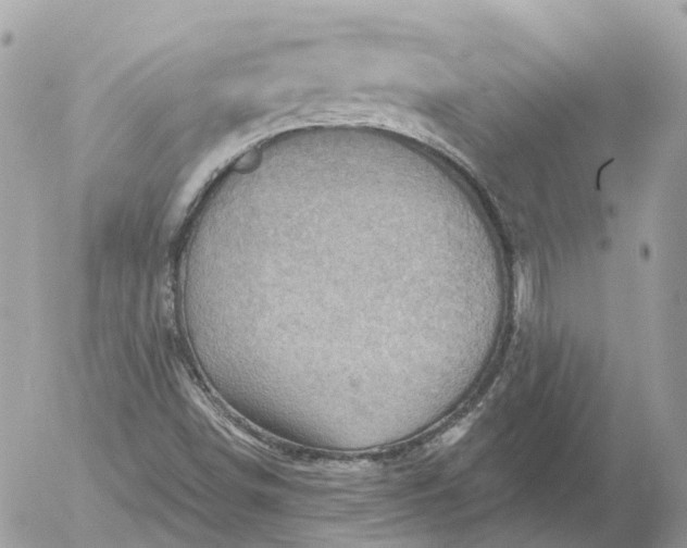 X0000052931498200507221108