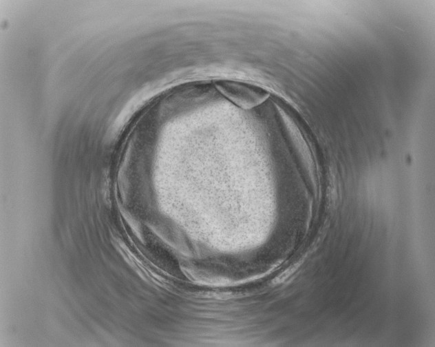 X0000052931499200507221108