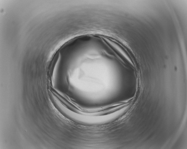 X0000052931500200507221108