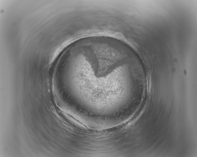 X0000052931501200507221108