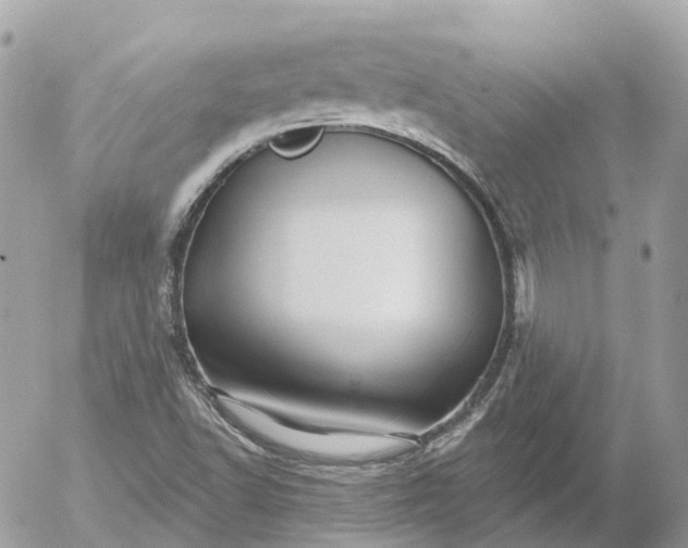 X0000052931502200507221108