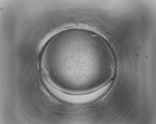 X0000052931503200507221108