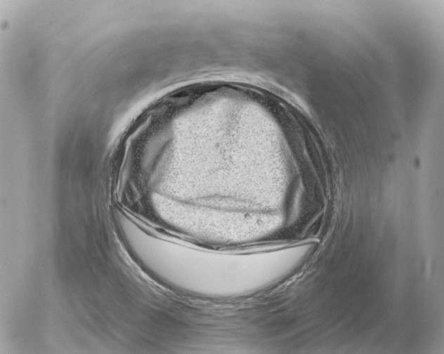 X0000052931504200507221108