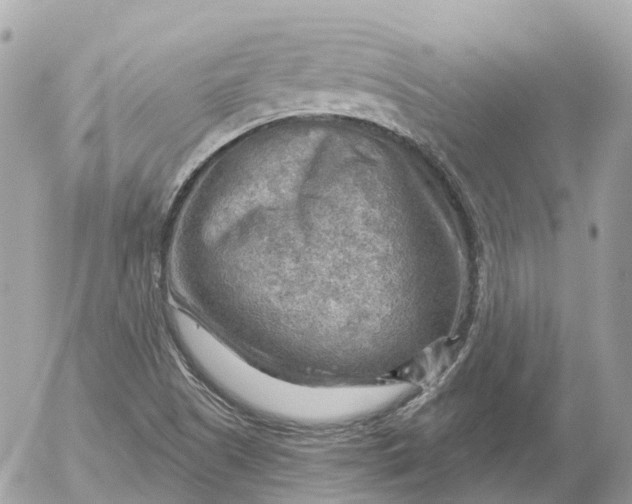 X0000052931505200507221108