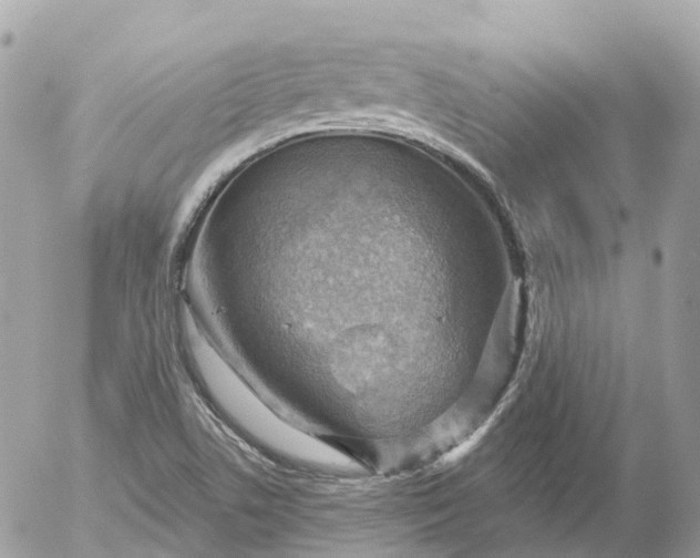 X0000052931506200507221108