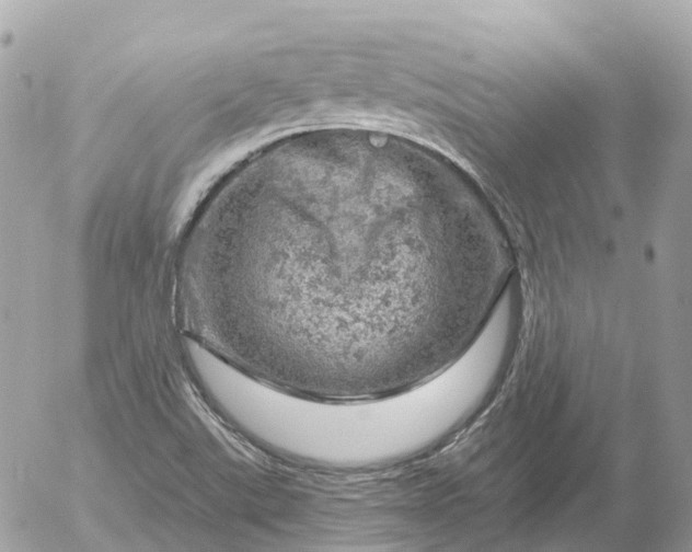 X0000052931507200507221108