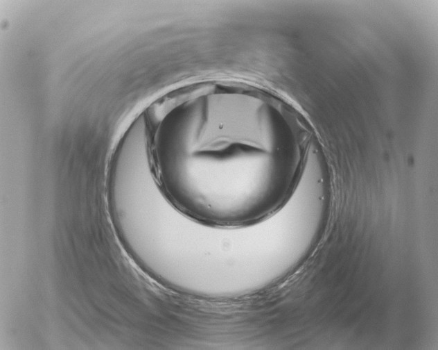 X0000052931508200507221108