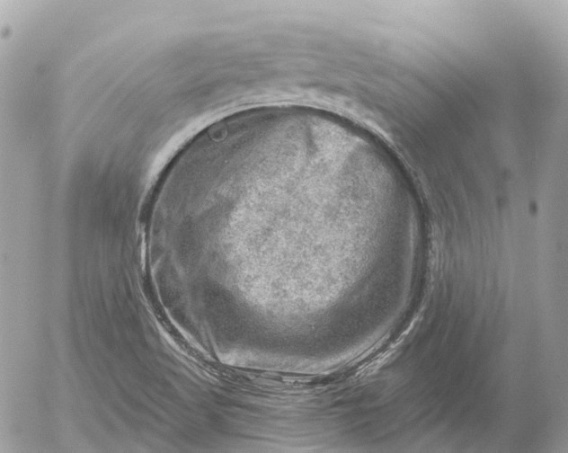 X0000052931509200507221108