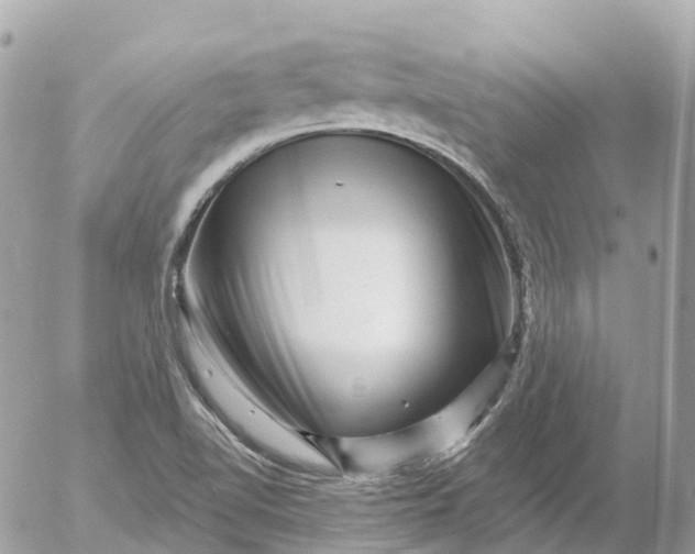 X0000052931510200507221108