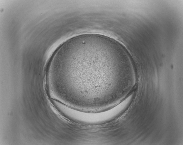 X0000052931511200507221108