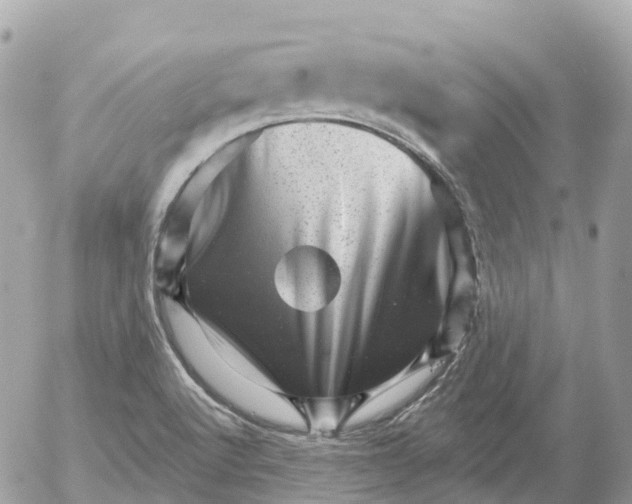 X0000052931512200507221108