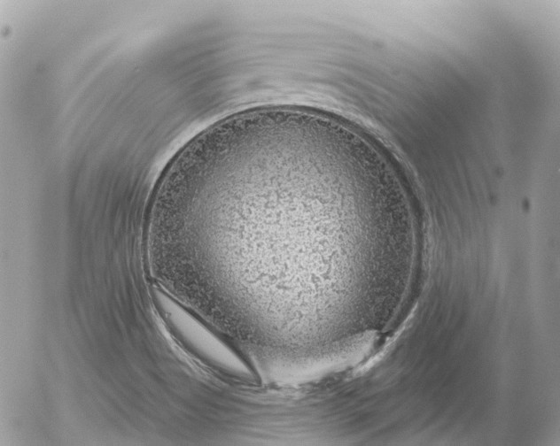 X0000052931513200507221108