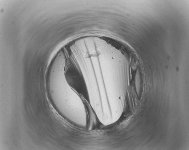 X0000052931514200507221108