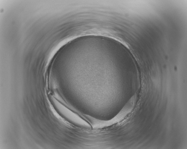 X0000052931515200507221108