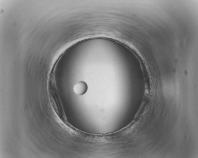 X0000052931516200507221108