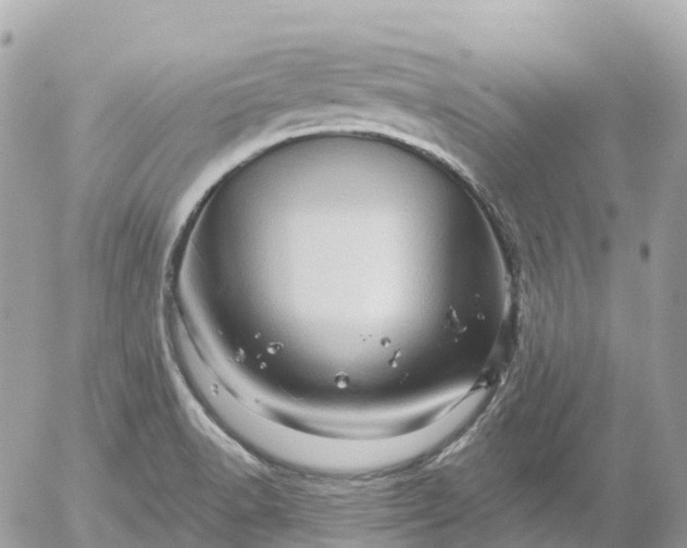 X0000052931518200507221108