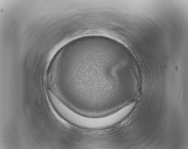 X0000052931519200507221108