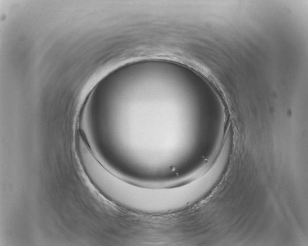 X0000052931520200507221108