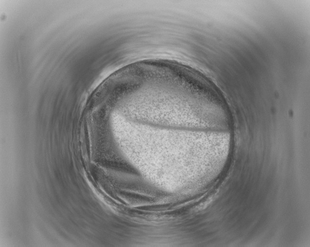 X0000052931521200507221108