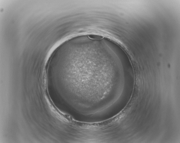 X0000052931522200507221108