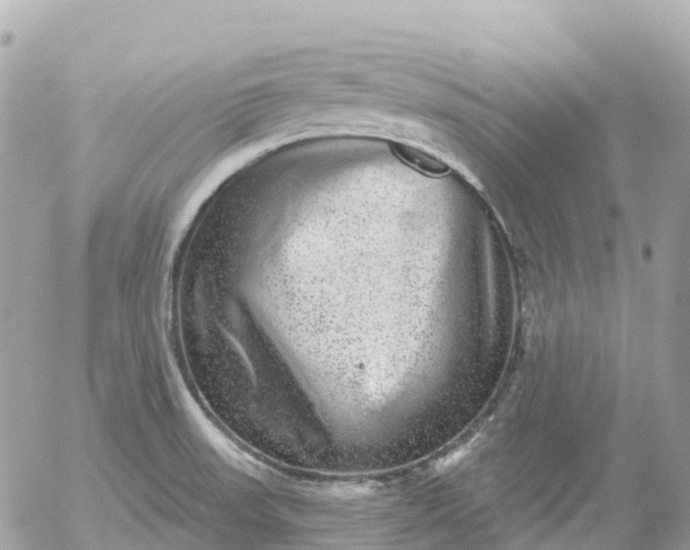 X0000052931523200507221108