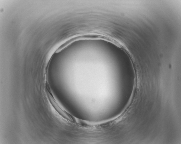 X0000052931524200507221108