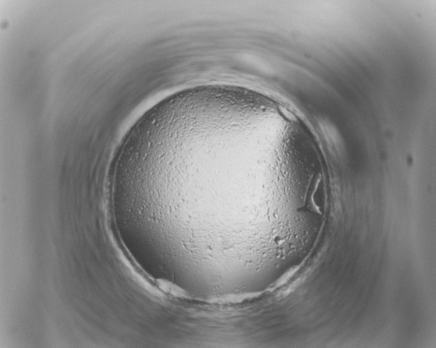 X0000052931525200507221108