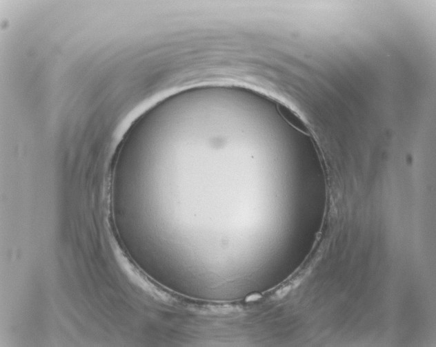 X0000052931526200507221109