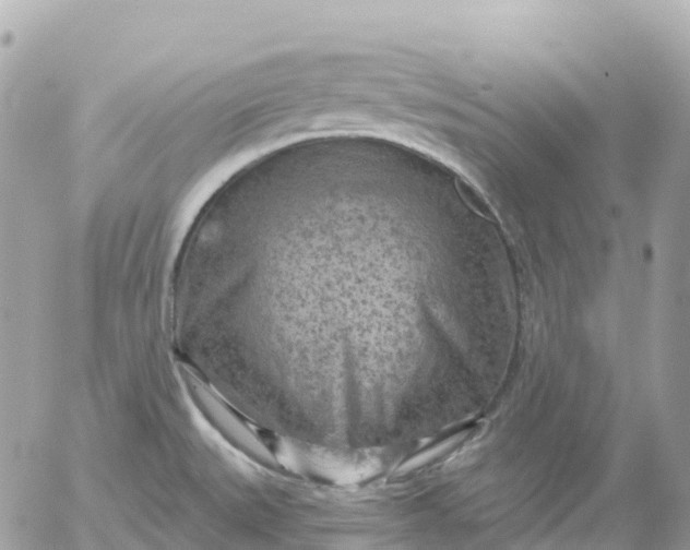 X0000052931527200507221109