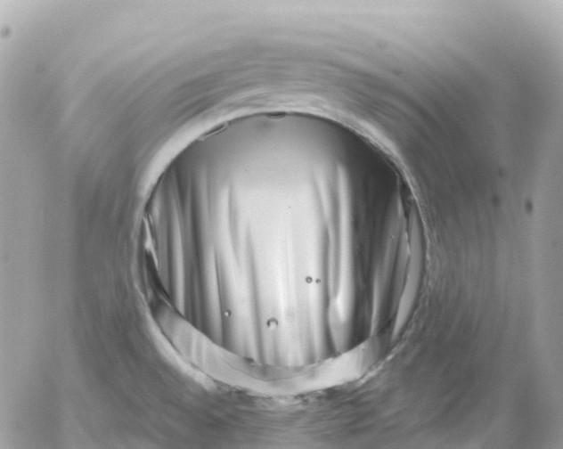 X0000052931528200507221109