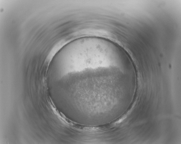 X0000052931529200507221109