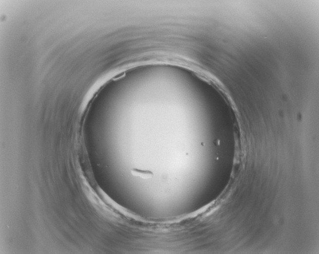 X0000052931530200507221109