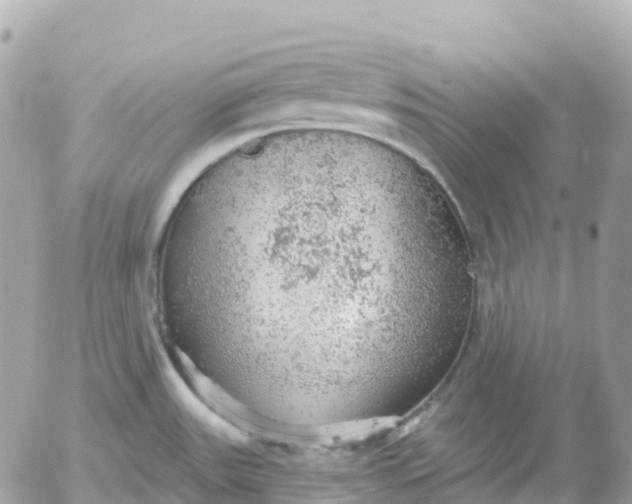 X0000052931531200507221109