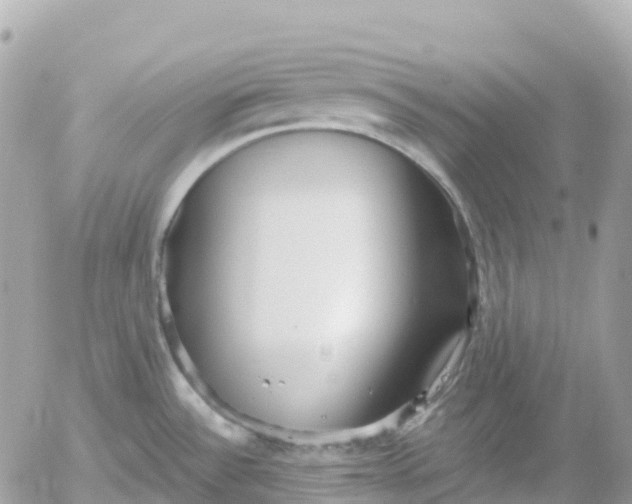 X0000052931532200507221109