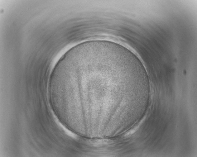 X0000052931533200507221109